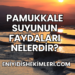 Pamukkale Suyunun Faydaları Nelerdir?