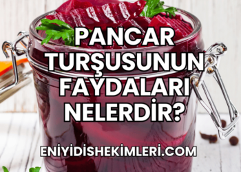 Pancar Turşusunun Faydaları Nelerdir?