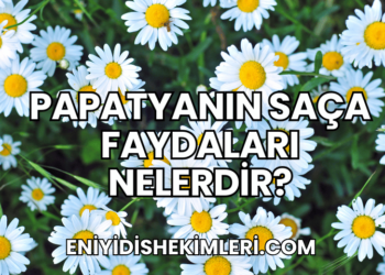Papatyanın Saça Faydaları Nelerdir?