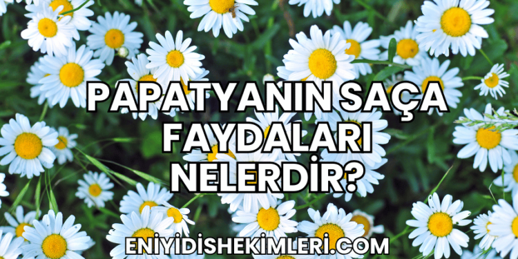 Papatyanın Saça Faydaları Nelerdir?