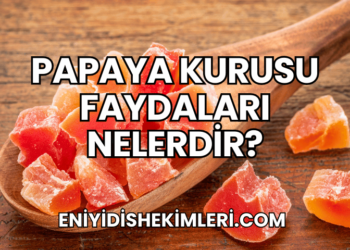 Papaya Kurusu Faydaları Nelerdir?