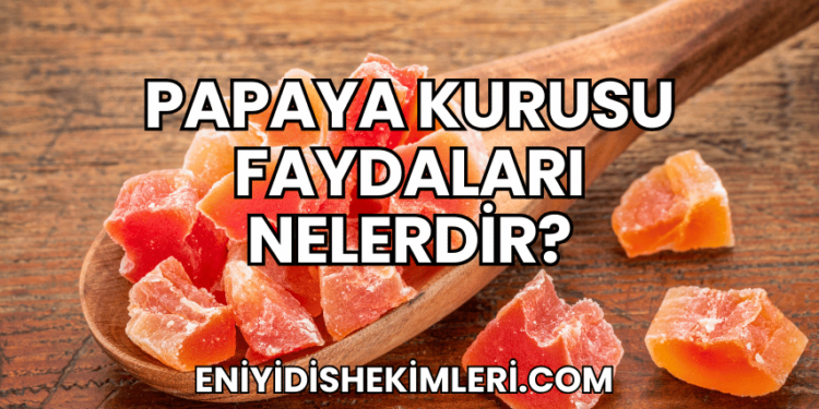 Papaya Kurusu Faydaları Nelerdir?