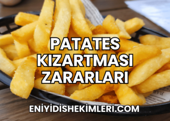 Patates Kızartması Zararları