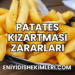 Patates Kızartması Zararları