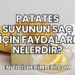 Patates Suyunun Saç İçin Faydaları Nelerdir?
