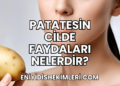 Patatesin Cilde Faydaları Nelerdir?