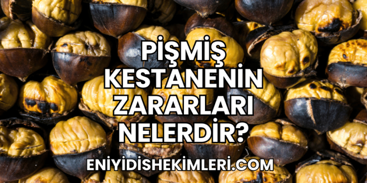 Pişmiş Kestanenin Zararları Nelerdir?