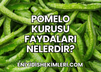 Pomelo Kurusu Faydaları Nelerdir?