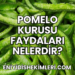 Pomelo Kurusu Faydaları Nelerdir?
