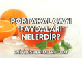 Portakal Çayı Faydaları Nelerdir?