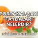 Portakal Çayı Faydaları Nelerdir?