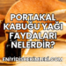 Portakal Kabuğu Yağı Faydaları Nelerdir?