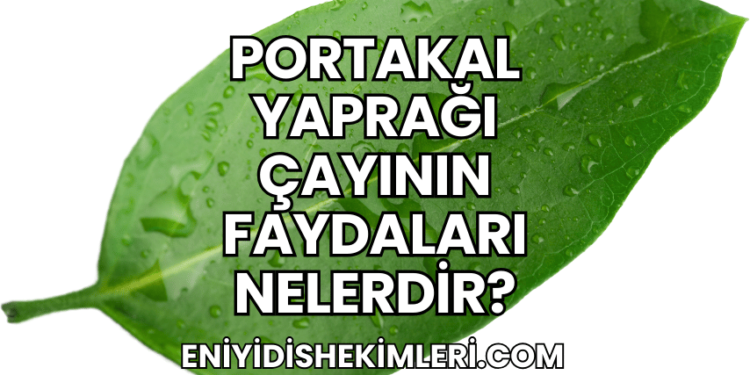 Portakal Yaprağı Çayının Faydaları Nelerdir?