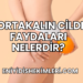 Portakalın Cilde Faydaları Nelerdir?
