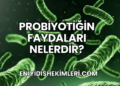Probiyotiğin Faydaları Nelerdir?