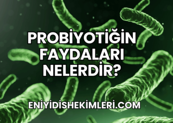 Probiyotiğin Faydaları Nelerdir?