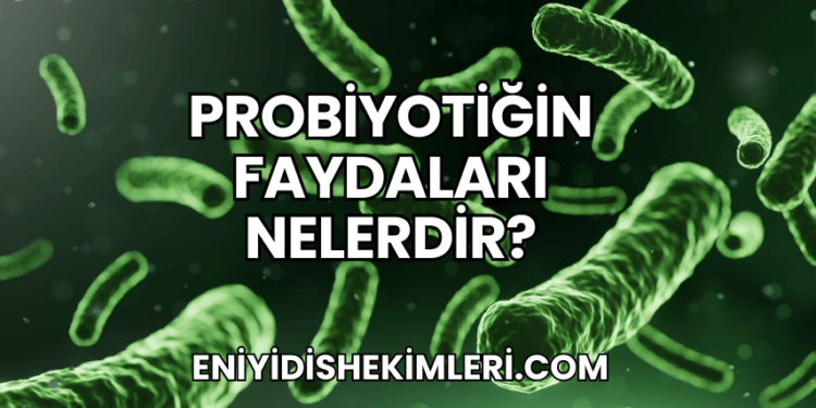 Probiyotiğin Faydaları Nelerdir?
