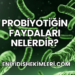 Probiyotiğin Faydaları Nelerdir?