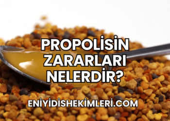 Propolisin Zararları Nelerdir?