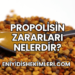 Propolisin Zararları Nelerdir?