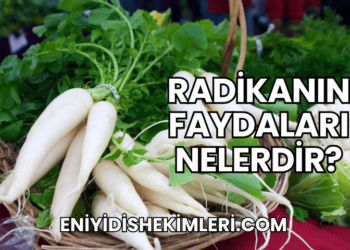 Radikanın Faydaları Nelerdir?