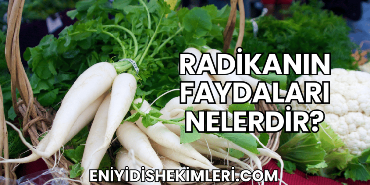 Radikanın Faydaları Nelerdir?