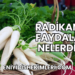 Radikanın Faydaları Nelerdir?