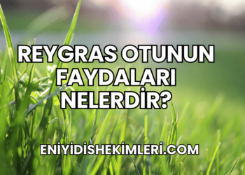 Reygras Otunun Faydaları Nelerdir?