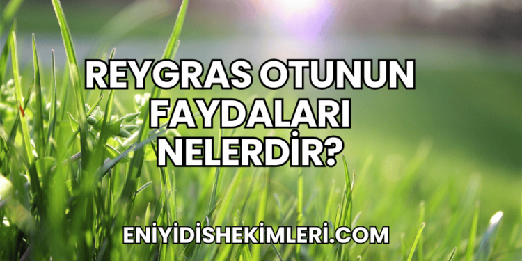 Reygras Otunun Faydaları Nelerdir?