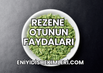 Rezene Otunun Faydaları