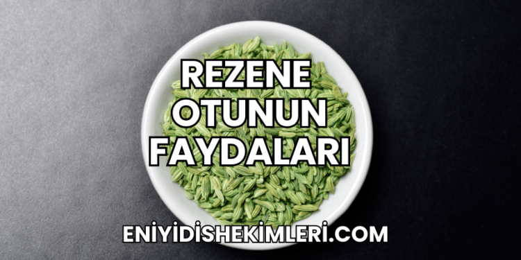 Rezene Otunun Faydaları