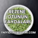 Rezene Otunun Faydaları