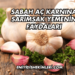 Sabah Aç Karnına Sarımsak Yemenin Faydaları