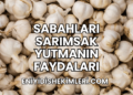 Sabahları Sarımsak Yutmanın Faydaları
