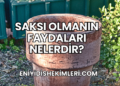 Saksı Olmanın Faydaları Nelerdir?