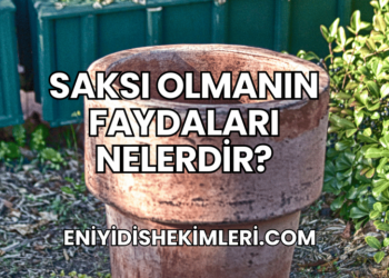 Saksı Olmanın Faydaları Nelerdir?