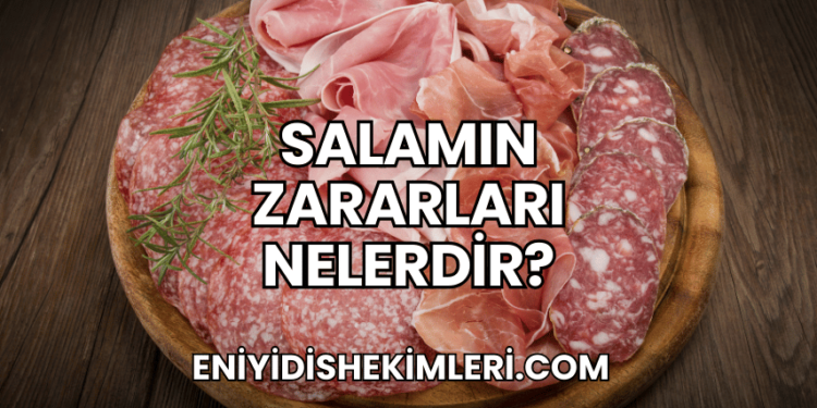 Salamın Zararları Nelerdir?