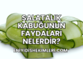 Salatalık Kabuğunun Faydaları Nelerdir?