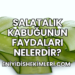 Salatalık Kabuğunun Faydaları Nelerdir?