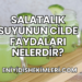 Salatalık Suyunun Cilde Faydaları Nelerdir?
