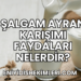 Şalgam Ayran Karışımı Faydaları Nelerdir?