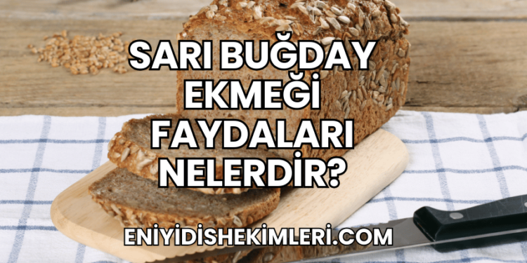 Sarı Buğday Ekmeği Faydaları Nelerdir?