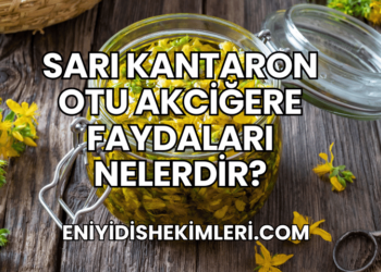 Sarı Kantaron Otu Akciğere Faydaları Nelerdir?