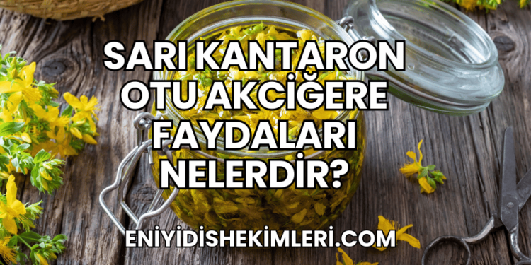 Sarı Kantaron Otu Akciğere Faydaları Nelerdir?