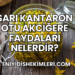 Sarı Kantaron Otu Akciğere Faydaları Nelerdir?