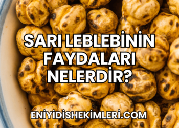 Sarı Leblebinin Faydaları Nelerdir?