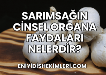 Sarımsağın Cinsel Organa Faydaları Nelerdir?