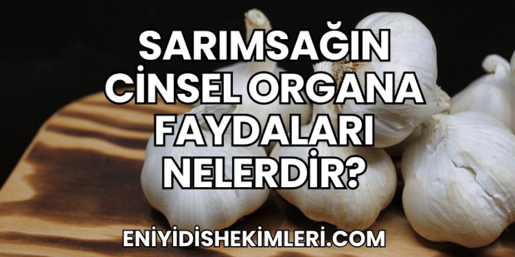 Sarımsağın Cinsel Organa Faydaları Nelerdir?