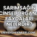Sarımsağın Cinsel Organa Faydaları Nelerdir?