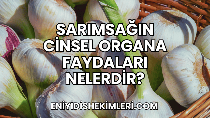 Sarımsağın Cinsel Organa Faydaları Nelerdir?
